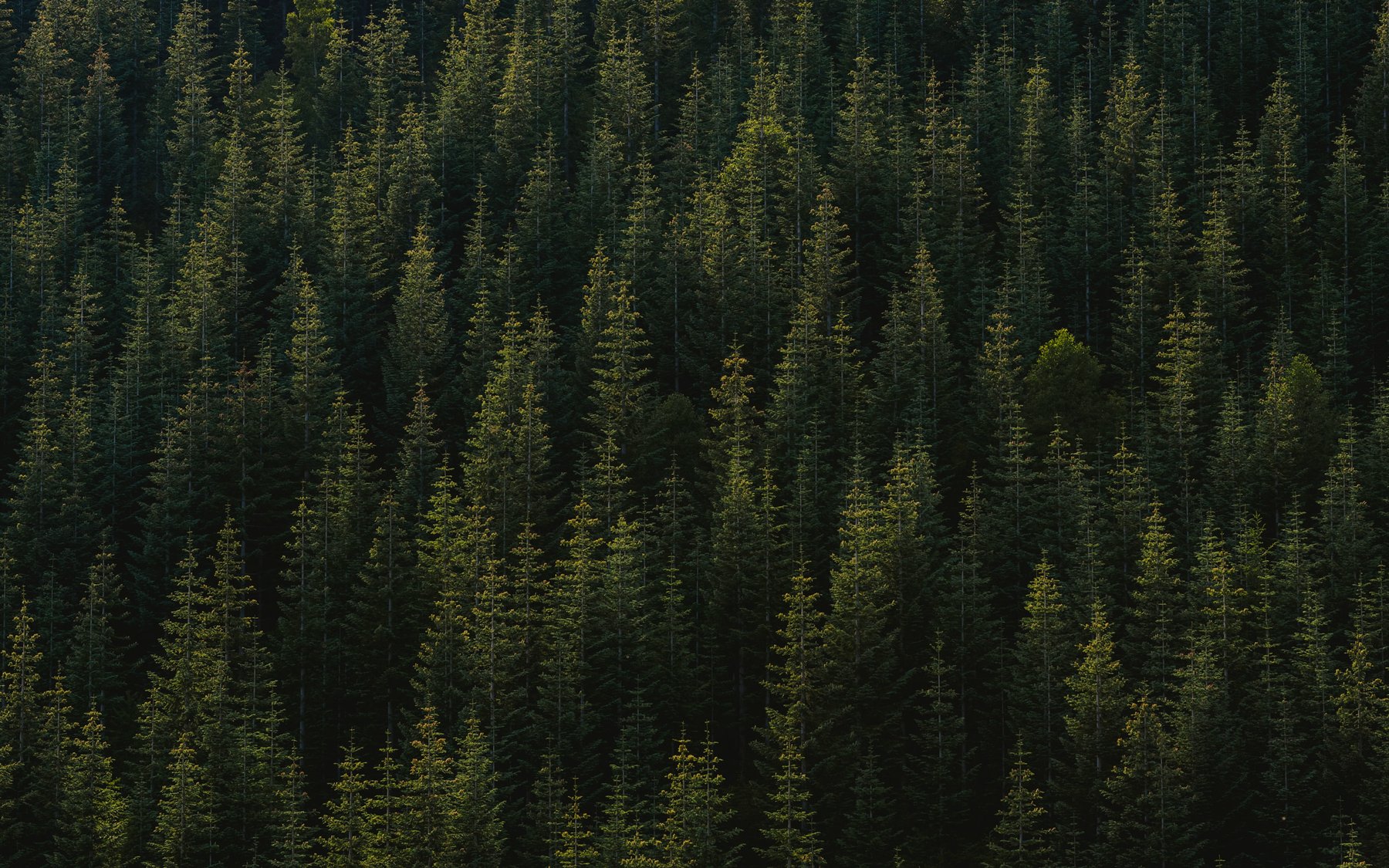 titelbild-klimainvestment.jpg